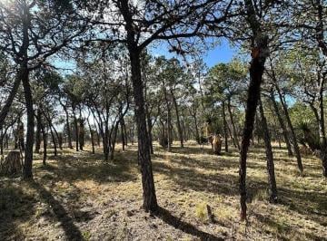 95d32c2ddc26339d0c3324ab99ff66d3956c2da2502d5af0b737bb15cac78ed0 · Terreno Campestre en Venta Arteaga Coahuila