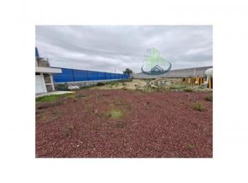 Terreno / Lote , Pachuca · Terreno en Renta de 2000 m en Santiago Tlapacoya Pachuca