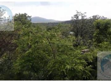 Terreno / Lote · Terreno en Venta en Fraccionamiento El Roble El Arenal Jalisco