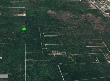 Terreno / Lote , Mérida · Lotes en Venta en Dzildzilche Al Norte de Mérida