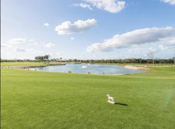 Terreno / Lote · 509m² · Terreno en Venta en Privada con Campo de Golf Merida Dzidzilche