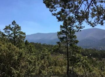 1 · ¡Terrenos Campestres en Arteaga! Bosque Boreal | Vistas Espectaculares + Precio Especial