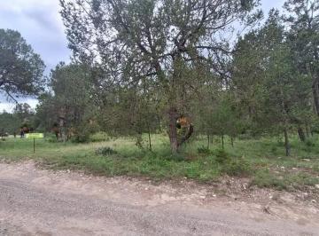 1 · Terreno Campestre en Sierra Escondida, Arteaga, Tu Bosque Privado 3,640 m²
