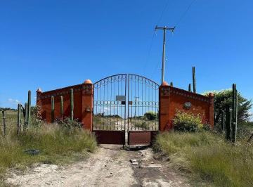 Terreno / Lote · 10000m² · Terreno Rústico en Venta "Venaderos"