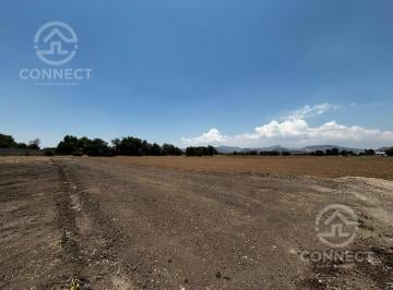 Terreno / Lote · 11313m² · Terreno Estratégico en Renta Ideal Para Patios o Bodegas Cerca de Puerto Interior Silao Gto