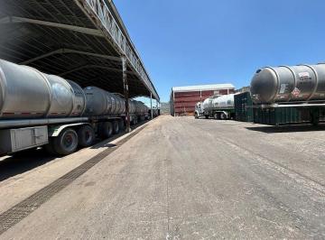Local comercial · 8000m² · 4 Estacionamientos · Terreno en Renta, Ampliación Tezoyuca, 8,000 m²