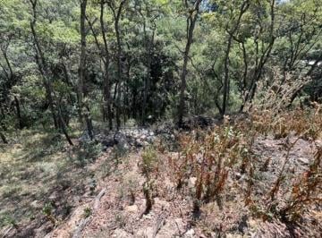 Terreno / Lote , Atizapán de Zaragoza · Venta de Terreno Descendente