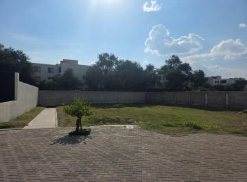Terreno / Lote , Corregidora · Lote Haciendea Carlota - Vicenza