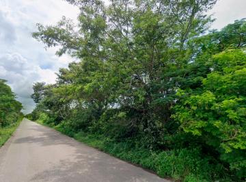 Terreno / Lote , Valladolid · Venta de Terreno Rustico con Cenote