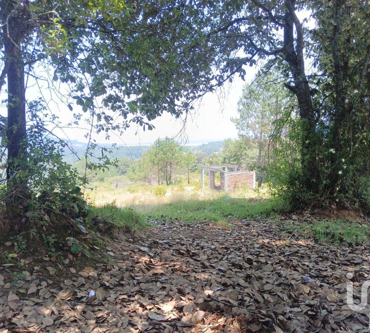 Opportunity: Live in Contact with Nature. Land for Sale.