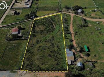Terreno / Lote · 10000m² · Terreno en Venta