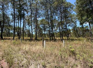 Terreno / Lote · 2343m² · Terreno en Tenería (Pueblo Nuevo)