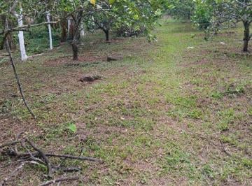 Terreno / Lote , Coatepec · ¡Precio de Remate / Oportunidad Única en Coatepec! Terreno Plano de 2,489 m² por Solo $700,000 Mx