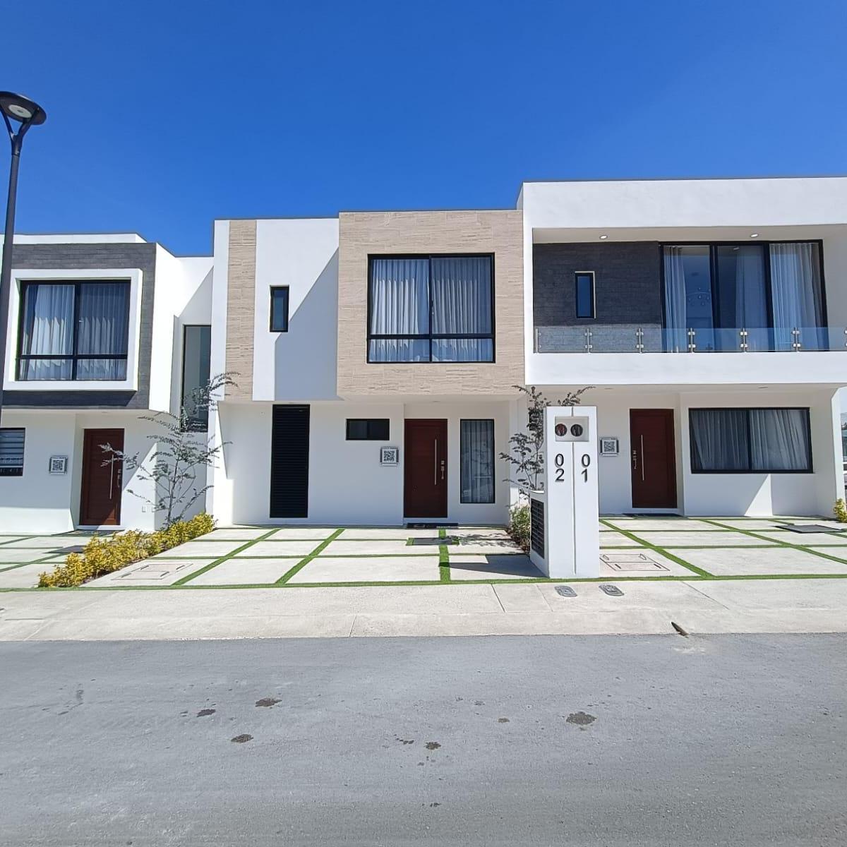 Palmares - (4)