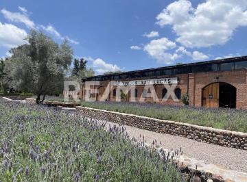 Terreno / Lote · 11601m² · Terreno en Viñedos San Lucas - (4)