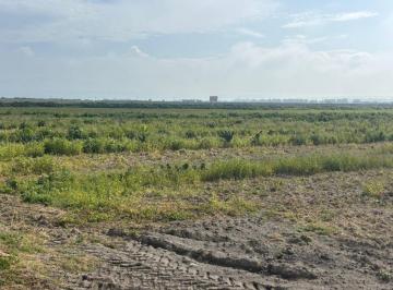 Terreno / Lote · 83293m² · Terreno Para Uso Agricola, Habitacional o Industrial