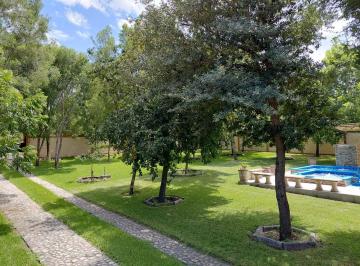 Quinta · Quinta - Atongo de Abajo