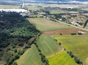 Terreno comercial · 1187m² · Terreno en Venta en Koaltzin Habitad Montaña Kilometro 27