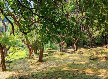 Terreno / Lote , Cuernavaca · Terreno de 19120 m² en Venta en Rancho Cortes