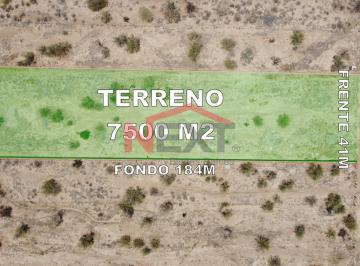 Foto principal · Terreno Urbano en Venta en Ejido Victoria