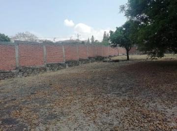 beac58f26604b59e1697991cbae82010d3c5167d3e66e90bebc98f6cac06d999 · Terreno en Venta en Oaxtepec