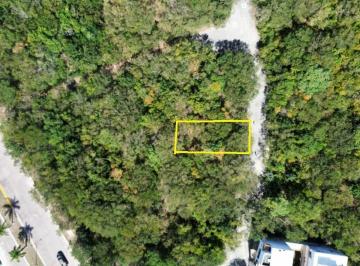 Terreno / Lote · Terreno en Cruz de Servicios
