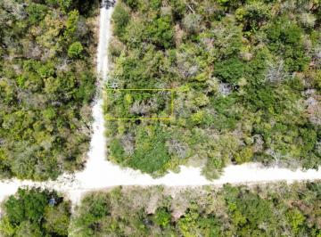 Terreno / Lote · 266m² · Terreno en Ciudad Chemuyil