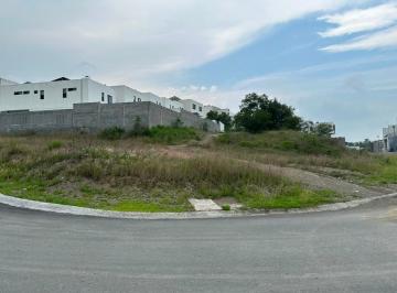 Terreno / Lote , Santiago · Terrenos en Esquina en Venta – Fracc. Álamo Sur (3er Sector)