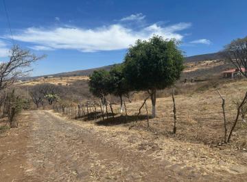 Terreno / Lote · 10000m² · Terreno en Rancho Cerro Viejo, San Miguel Cuyutlán, Tlajomulco de Zúñiga, Jalisco