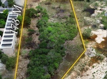 Terreno / Lote · 10000m² · Terreno en Venta Sobre Periférico Norte 66 m de Frente!