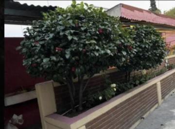 Departamento de 2 habitaciones, Tlalpan · Depto con 2 Cajones 1er Piso 2 Autos Jardín Gral de 300 m