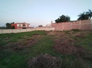 Terreno / Lote , Yecapixtla · Terreno de 800 m² en Venta Sobre El Libramiento de Cuautla