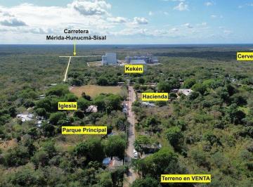 Terreno / Lote , Hunucmá · Terreno en Venta en San Antonio Chel, Hunucma