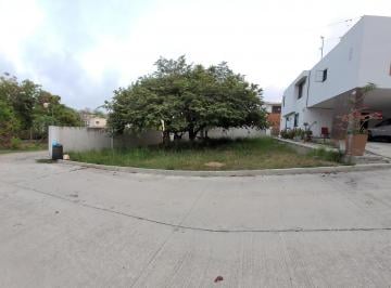 Terreno / Lote · 364m² · (Lptv2531) Terreno Residencial en Venta Col. El Ojital - Charro en Tampico