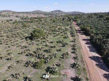Terreno / Lote , Temascalapa · Terreno Campestre Ideal Para Rancho
