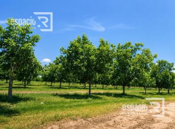 Terreno / Lote · 555m² · Huerta Nogalera Cerca de Aldama