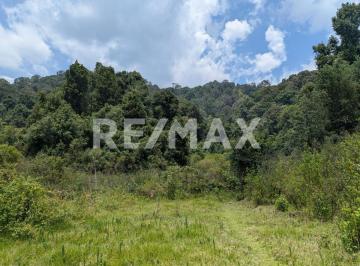 Terreno / Lote · 2259m² · Terreno en Venta - (4)