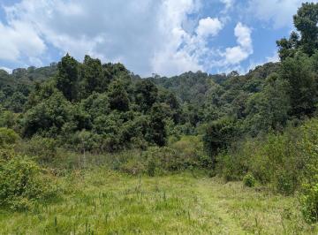 Terreno / Lote · 2259m² · Terreno en Venta - (4)