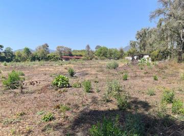 Terreno / Lote , Uruapan · Terreno de 15000 m² en Venta en La Basilia, a Bordo de Carretera