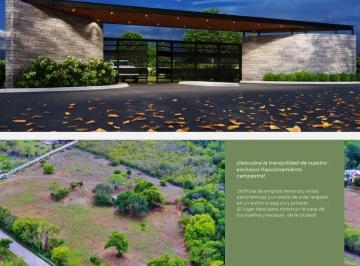 Terreno / Lote · 1500m² · Terrenos Campestre en Venta en Montemorelos