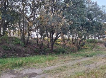 Terreno / Lote · 1500m² · Terreno en El Terrero