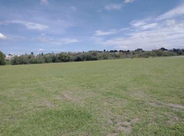 Terreno / Lote , Puebla · ¡Inversión Estratégica! Macro - Lote de Extensión Única con Vista y Entorno Natural.
