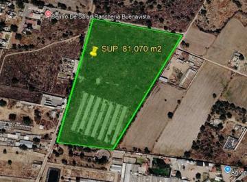 Terreno / Lote · 81070m² · Terreno en Venta 81,070 m² en Zumpango, Estado de México