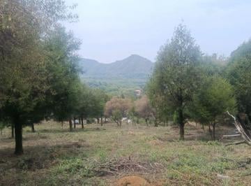 Terreno / Lote , Malinalco · Terreno en Malinalco