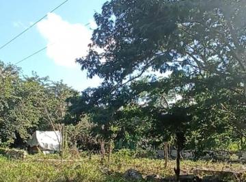 Terreno / Lote , Chicxulub Pueblo · Terreno en Venta, Chicxulub Pueblo