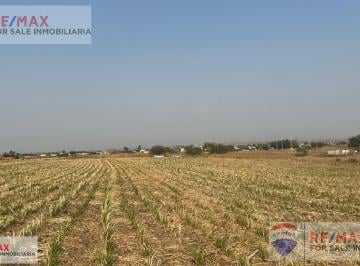 Parcela de Temporal con Certificado Parcelario, Cuautla, Morelos · Parcela de Temporal con Certificado Parcelario, Cuautla, Morelos…clave 5398