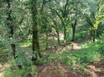 Venta de terreno escriturado, Santa María Ahuacatitlán, Cuernavaca, Morelos · Venta de Terreno Escriturado, Santa María Ahuacatitlán, Cuernavaca, Morelos…clave 5825