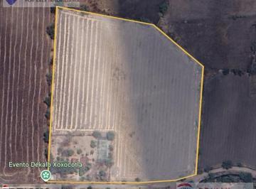 Venta de terreno de 40,431m2, Anenehuilco, Xoxocotla, Morelos · Venta de Terreno de 40,431 m², Anenehuilco, Xoxocotla, Morelos…clave 5494