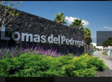 Edificio , Tlalpan · ¡Oportunidad! Departamento en Venta o Renta en Fraccionamiento Exclusivo Al Sur de La Cdmx