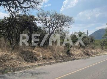 Terreno / Lote · 10000m² · Terreno Campestre Venta - (4)